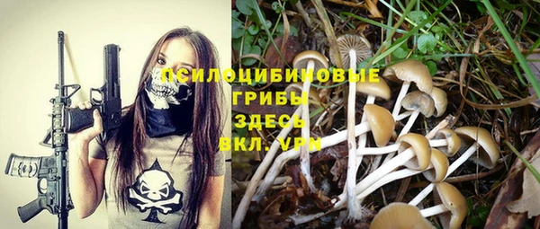 соль курить ск Алексеевка