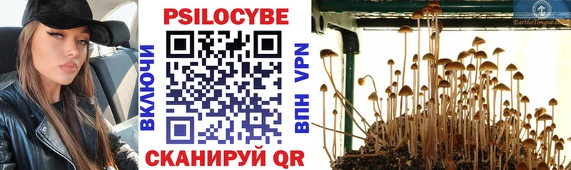 Псилоцибиновые грибы мицелий как найти Ишим